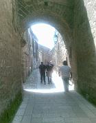 exodus caserta (13)